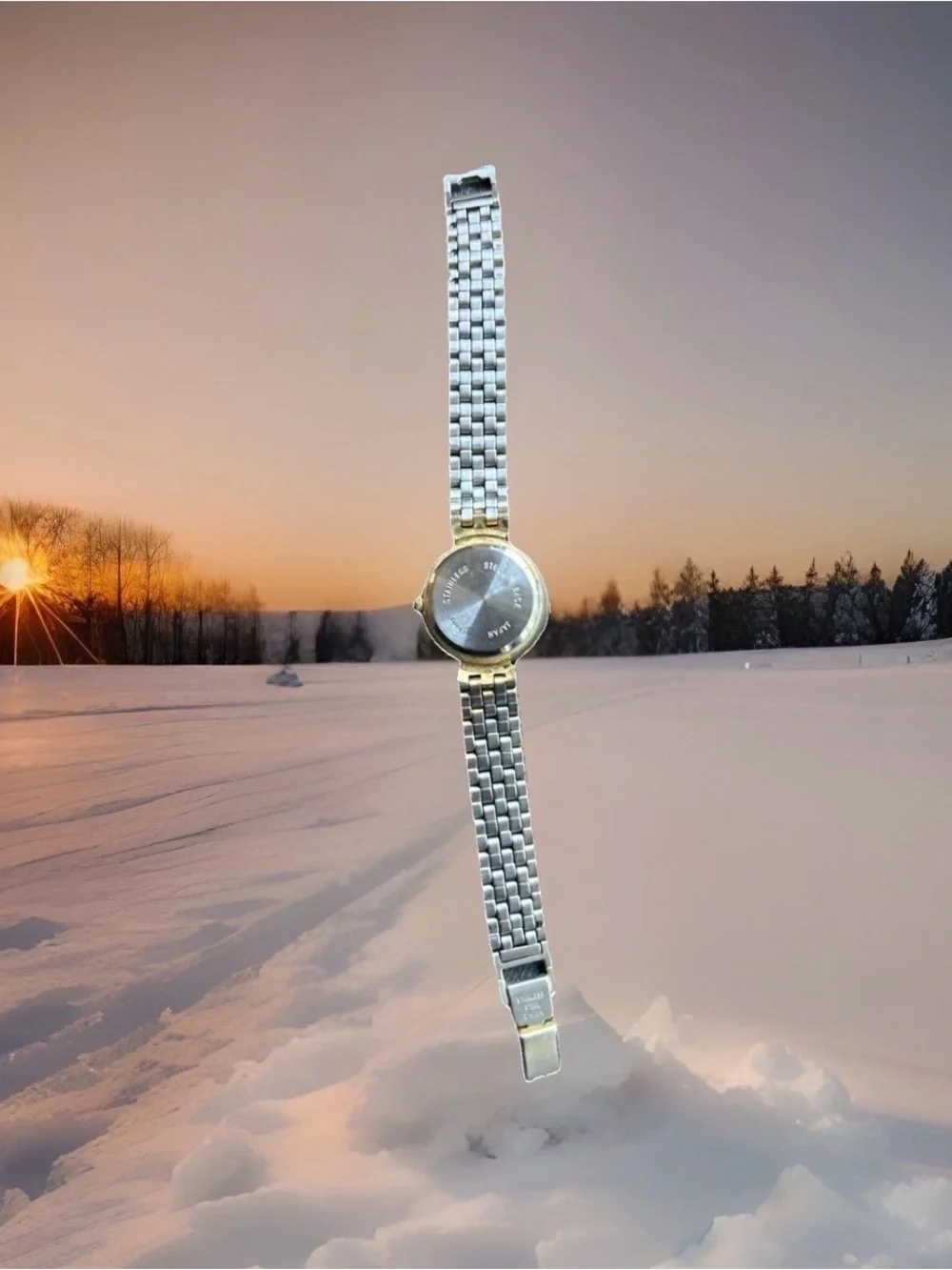 Elizabeth Taylor 24mm Watch Crystal Bezel Champagne Dial Quartz 5817 Japan